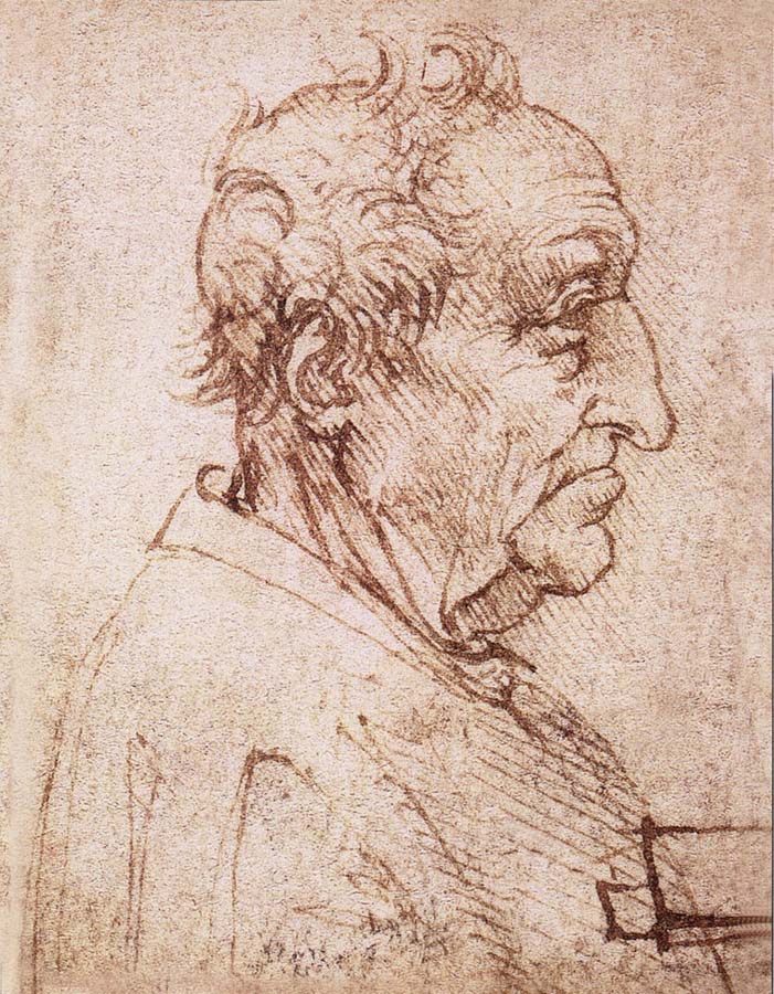 LEONARDO da Vinci Profile of an old man